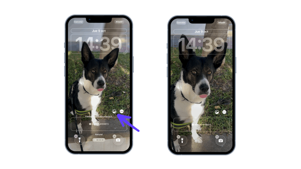Puedes hacer una imagen especializada con el nuevo iOS 26